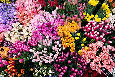 线条小狗官方游戏《线条小狗：动物温泉》定档5月14日Steam发售