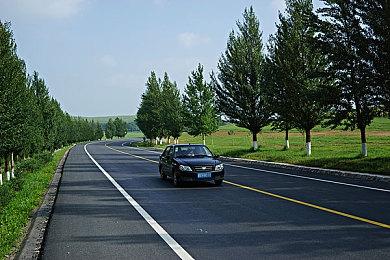 《三国志8重制版》吕布和貂蝉角色介绍 英雄配美人